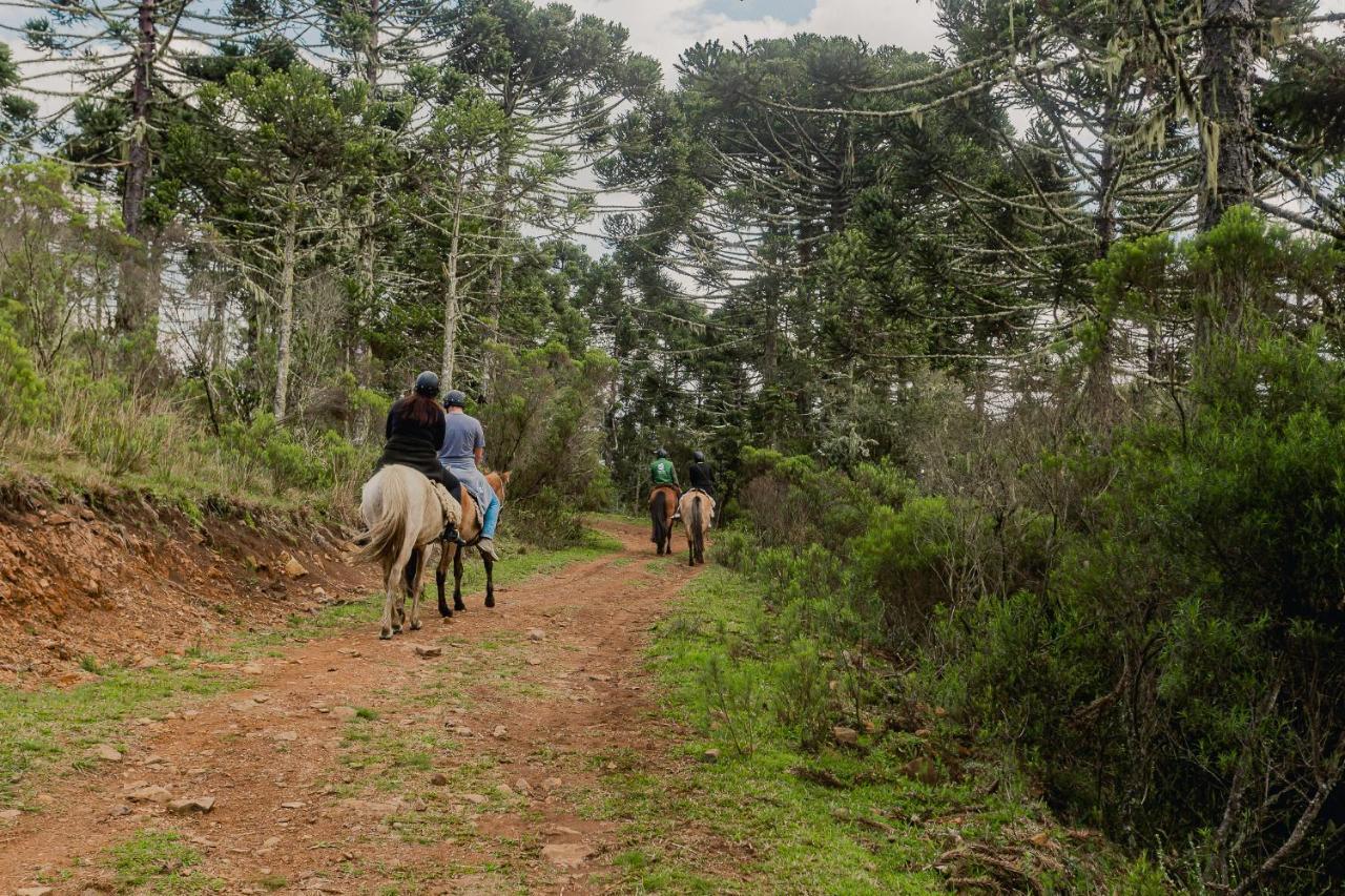 Hotel Fazenda Rota Dos Canions Bom Jardim da Serra Εξωτερικό φωτογραφία